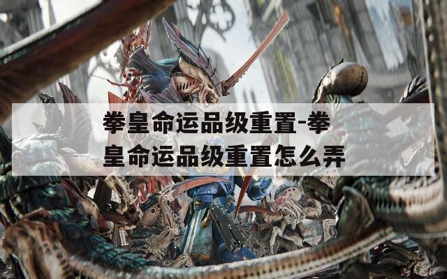 拳皇命运品级重置-拳皇命运品级重置怎么弄